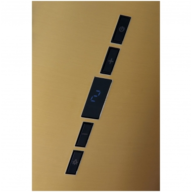 Gartraukis BERG FLOYD GOLD NEW ISOLA 3